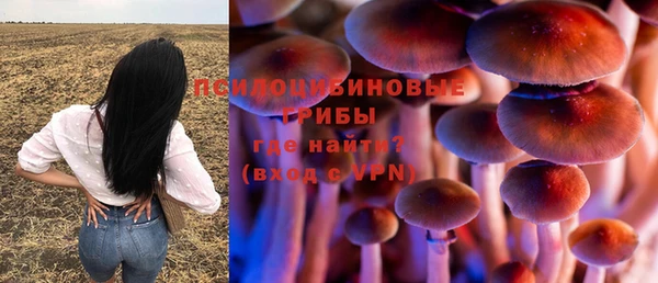 крисы Алексеевка