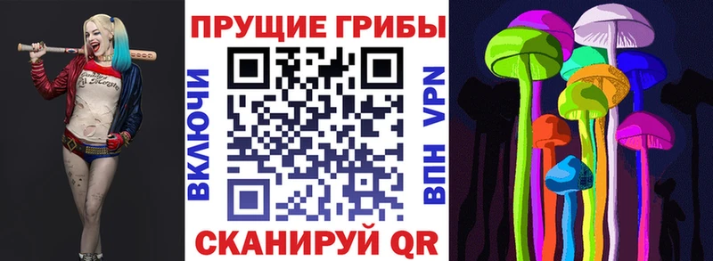 Галлюциногенные грибы Psilocybe  Ишим 